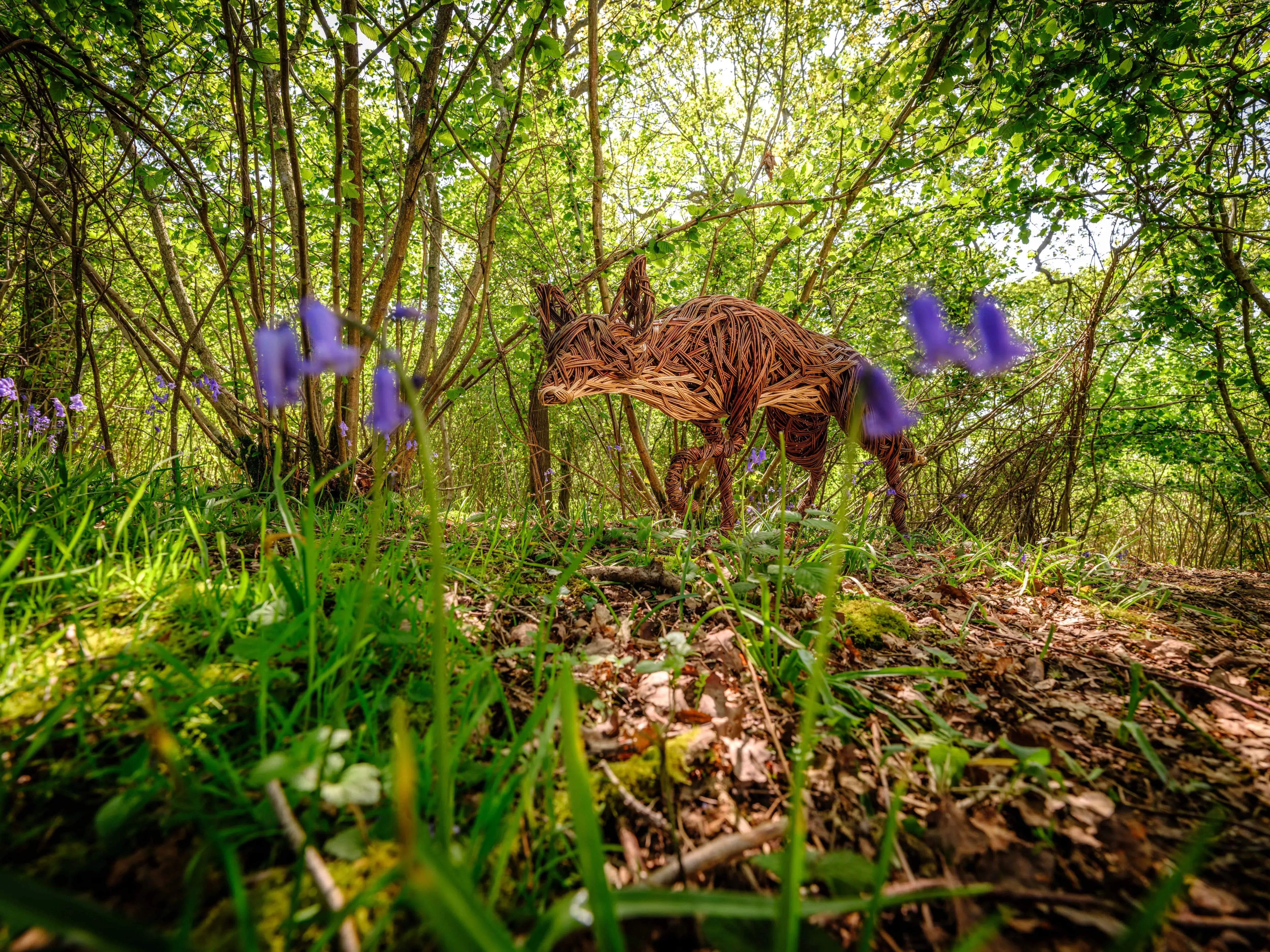 Wakehurst woodland sculpture, Jim Holden © RBG Kew Wicker fox sculpture