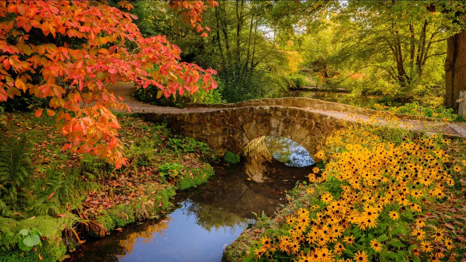 Water Gardens in Autumn, Jim Holden © RBG Kew A stone bridge over a river in an autumnal forest