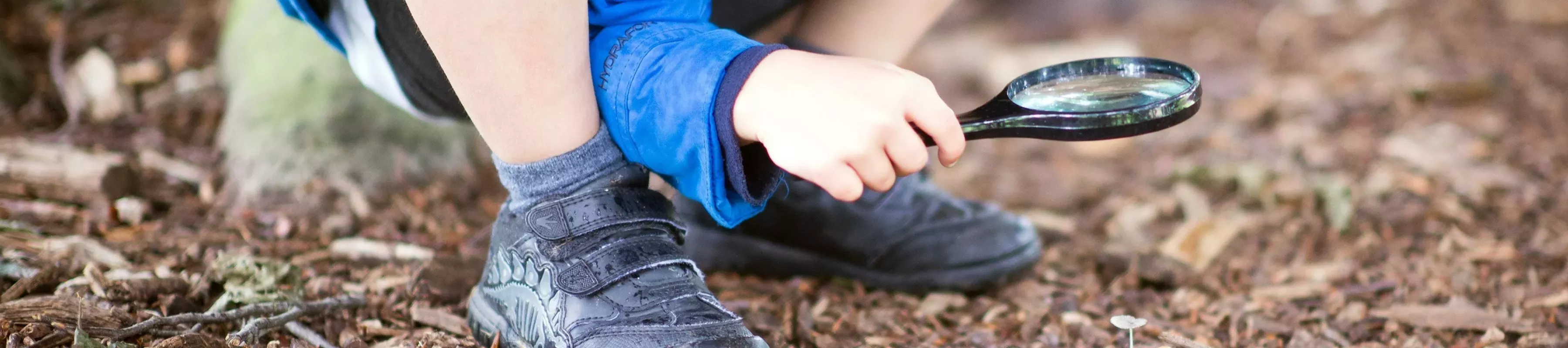 Children at Kew ©RBG Kew A child examines the ground with a magnifying glass